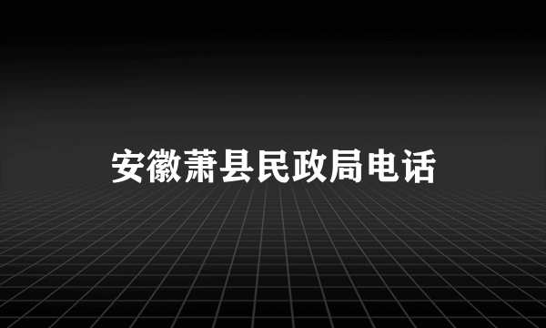 安徽萧县民政局电话