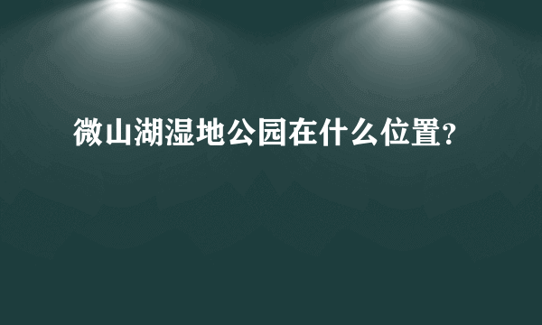 微山湖湿地公园在什么位置？