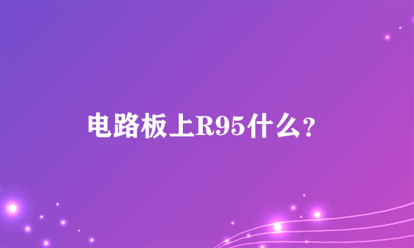 电路板上R95什么？