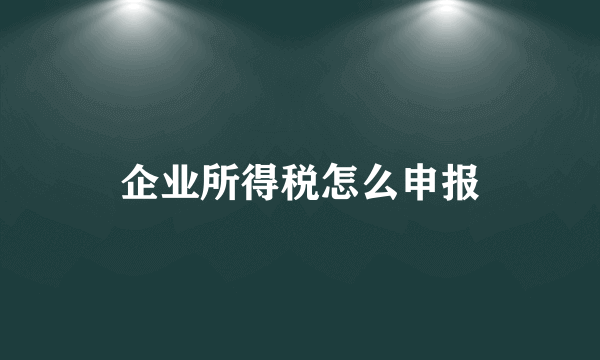 企业所得税怎么申报