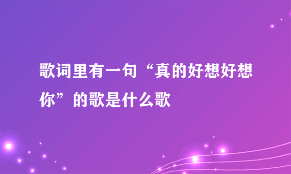 歌词里有一句“真的好想好想你”的歌是什么歌