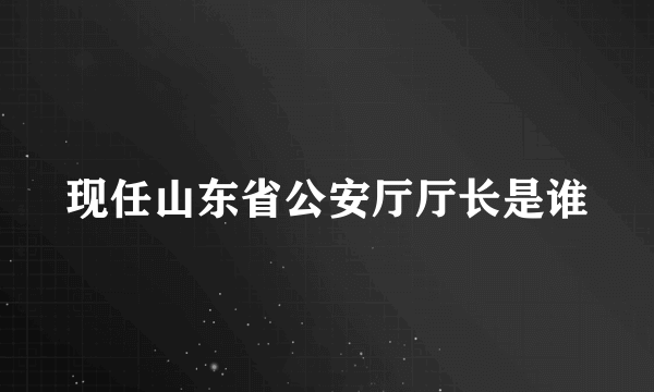 现任山东省公安厅厅长是谁