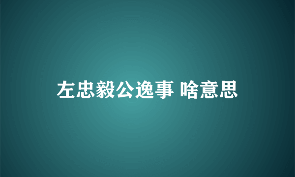 左忠毅公逸事 啥意思