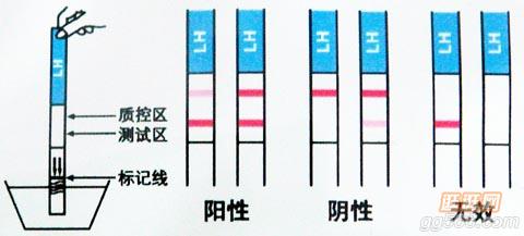 验孕棒怎么使用