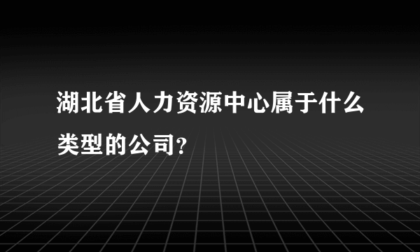 湖北省人力资源中心属于什么类型的公司？