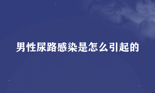 男性尿路感染是怎么引起的