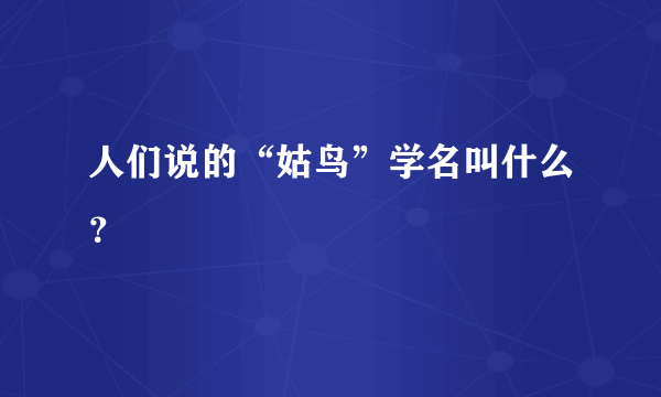 人们说的“姑鸟”学名叫什么？