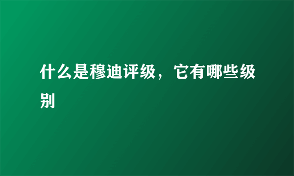 什么是穆迪评级，它有哪些级别