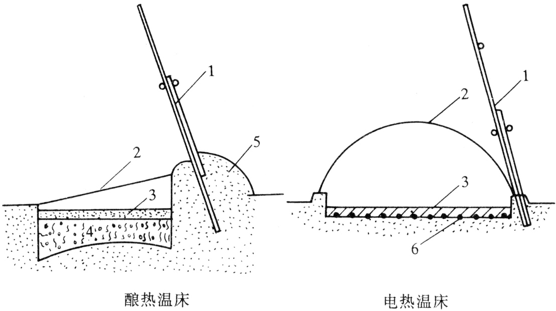 什么是温床？温床主要有哪两种类型？