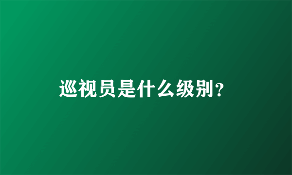 巡视员是什么级别？