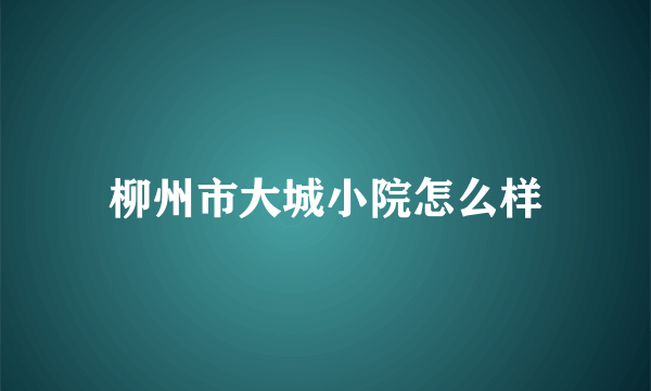 柳州市大城小院怎么样