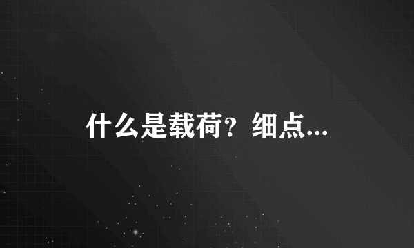 什么是载荷？细点...