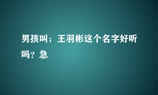 男孩叫；王羽彬这个名字好听吗？急