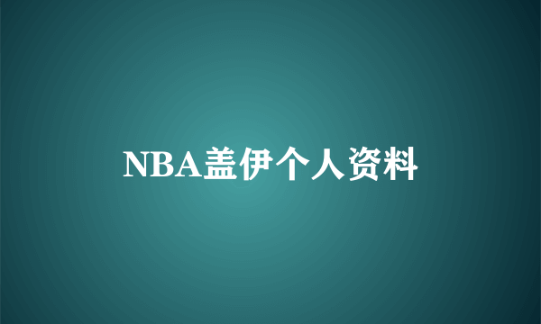 NBA盖伊个人资料