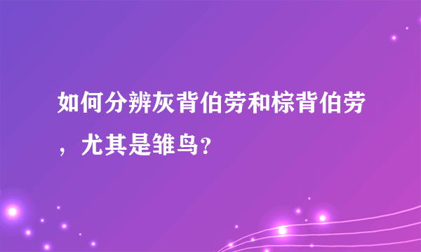 如何分辨灰背伯劳和棕背伯劳，尤其是雏鸟？