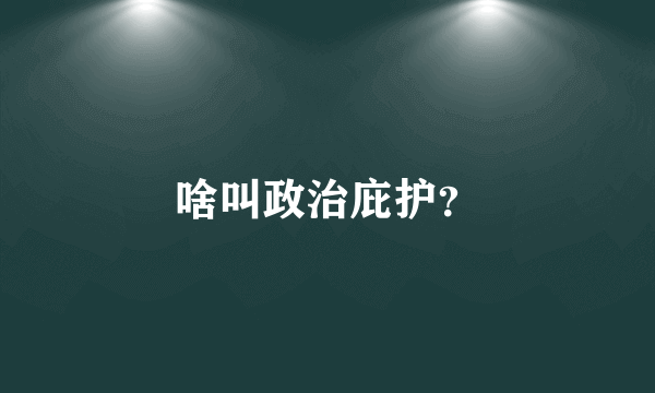 啥叫政治庇护？