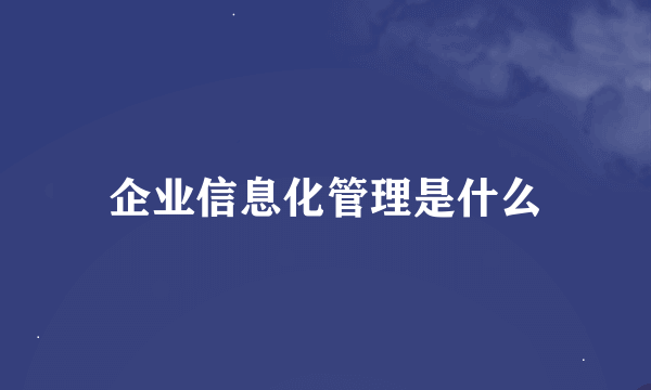 企业信息化管理是什么