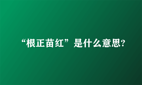 “根正苗红”是什么意思?