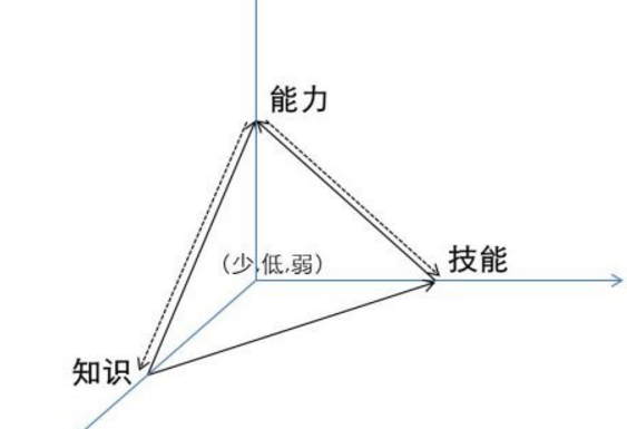 技能是什么？