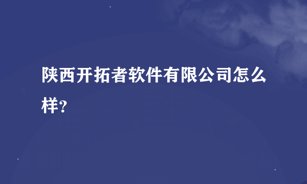 陕西开拓者软件有限公司怎么样？