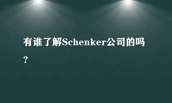 有谁了解Schenker公司的吗？