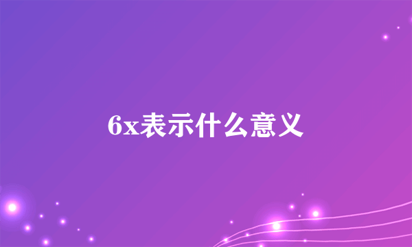 6x表示什么意义