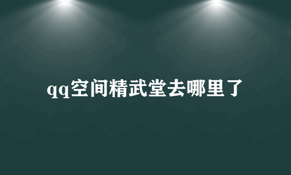 qq空间精武堂去哪里了