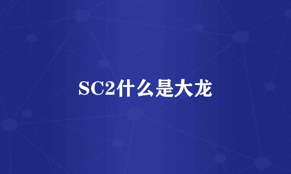 SC2什么是大龙