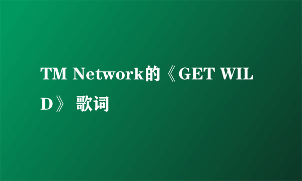 TM Network的《GET WILD》 歌词