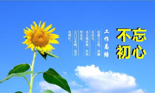 怎么写汇报材料