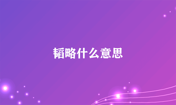 韬略什么意思