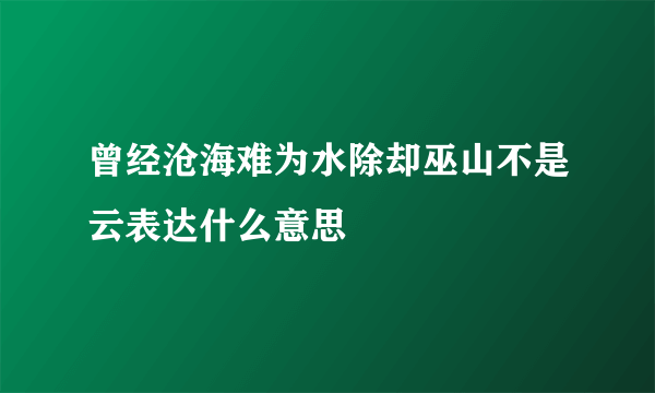 曾经沧海难为水除却巫山不是云表达什么意思