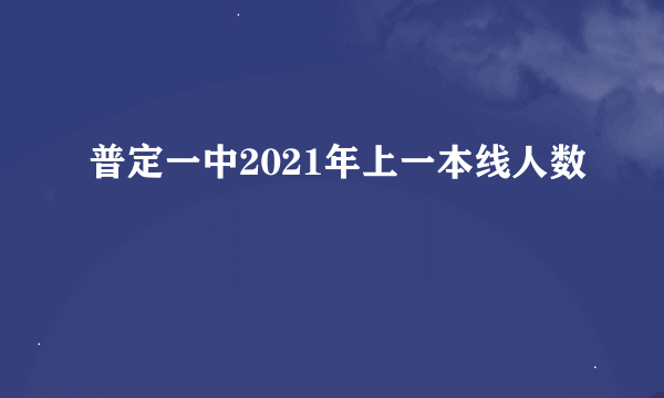 普定一中2021年上一本线人数