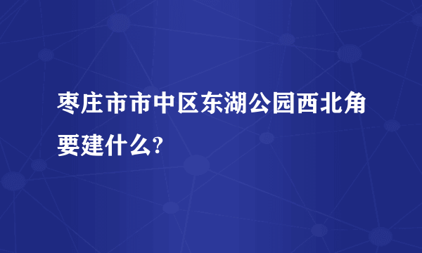 枣庄市市中区东湖公园西北角要建什么?