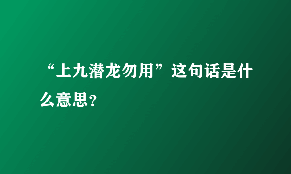 “上九潜龙勿用”这句话是什么意思？