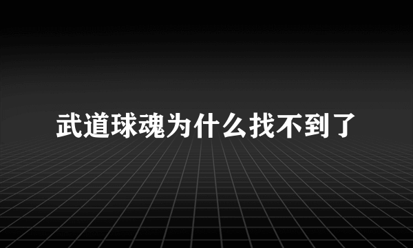 武道球魂为什么找不到了