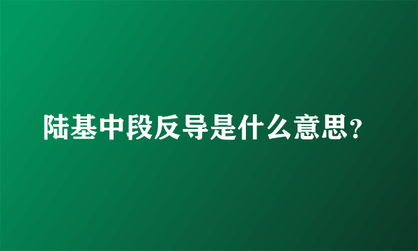 陆基中段反导是什么意思？