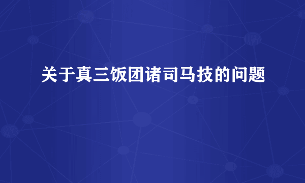 关于真三饭团诸司马技的问题