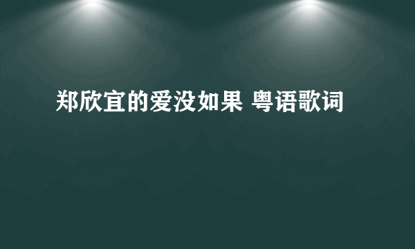 郑欣宜的爱没如果 粤语歌词