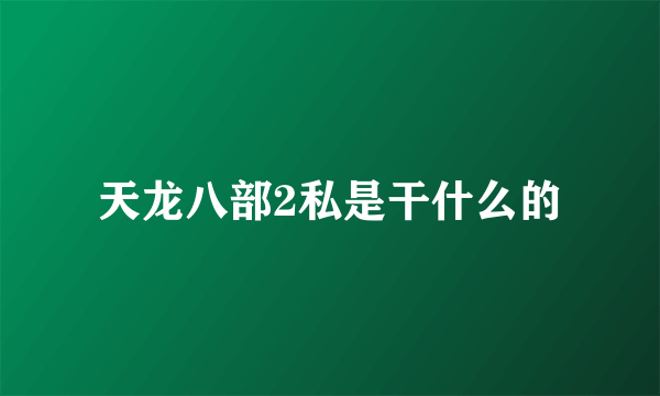 天龙八部2私是干什么的