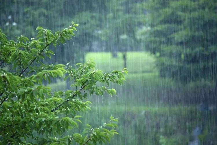 暴雨突袭上海堪比台风过境，对当地造成的损失有多严重？