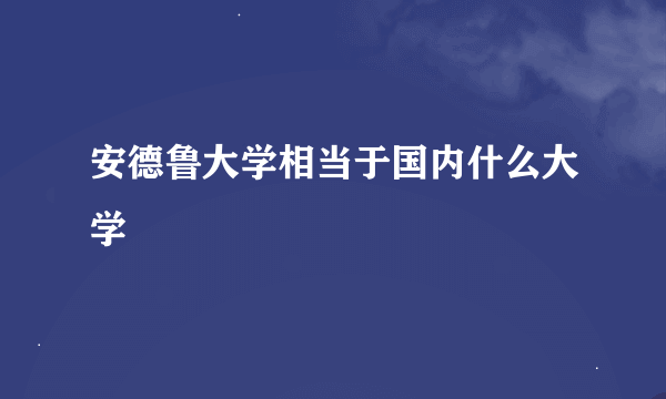 安德鲁大学相当于国内什么大学