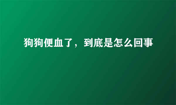 狗狗便血了，到底是怎么回事