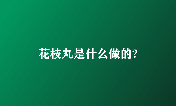 花枝丸是什么做的?