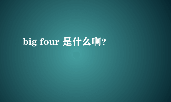 big four 是什么啊？