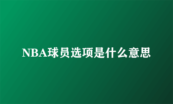 NBA球员选项是什么意思