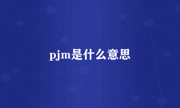 pjm是什么意思