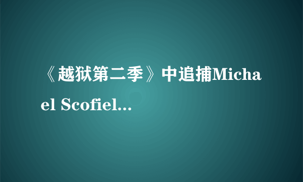 《越狱第二季》中追捕Michael Scofield的FBI探员叫什么名字?他为什么经常吃药?