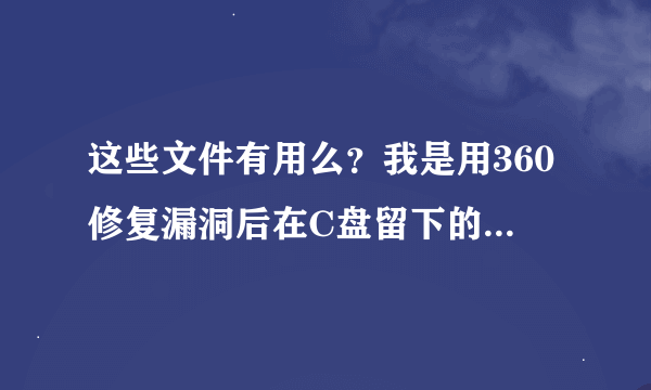 这些文件有用么？我是用360修复漏洞后在C盘留下的！没用 我就把它给删除了。 求高手指点下！