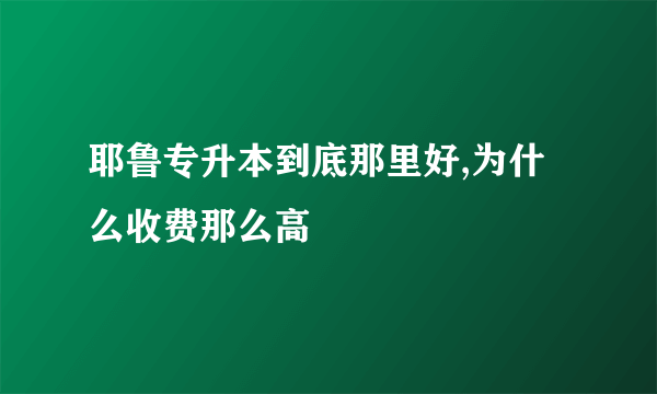 耶鲁专升本到底那里好,为什么收费那么高